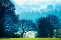 paysage 09_04_11n05